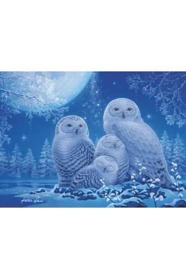Puzzle 500 el. �wiec�ce w ciemno�ci - Sowy Ravensburger