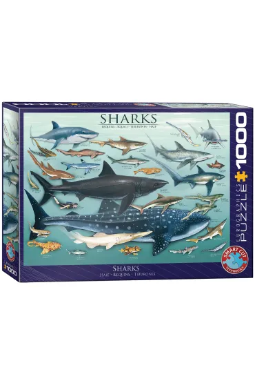 Puzzle 1000 el. Rekiny Eurographics