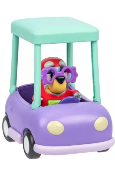 BLUEY AUTO BABCI I JANET 16X18X8 WB