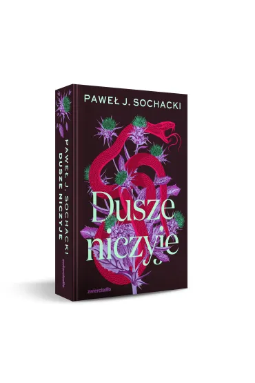 Dusze niczyje - Pawe� J. Sochacki