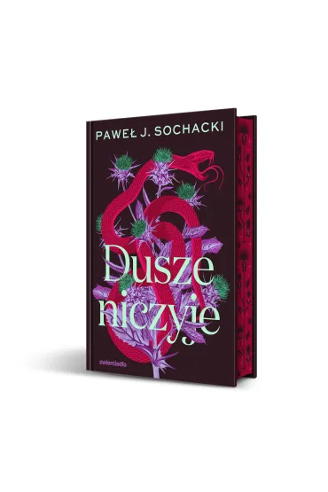 Dusze niczyje - Pawe� J. Sochacki