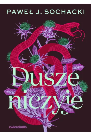 Dusze niczyje - Pawe� J. Sochacki