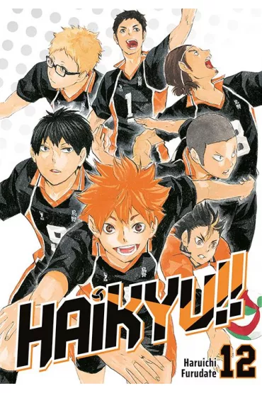 Haikyu!! Tom 12 - Haruichi Furudate