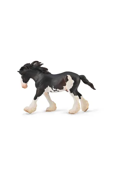 Ogier Clydesdale ma�ci Black Sabino