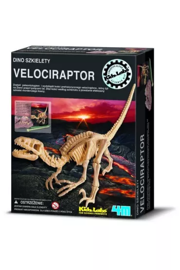 Wykopaliska - VELOCIRAPTOR (M104.13234) * 4M