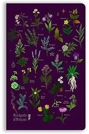 Flame Tree Notatnik B6 linia BR Zakl�cia i mikstury