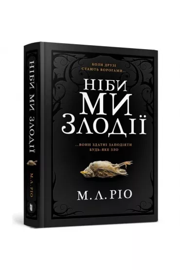 Niby my zlodiyi/A jeli jestemy zoczycami - M. L. Rio