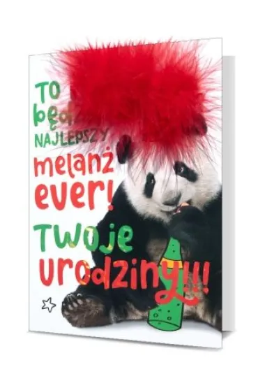 Pan Dragon Karnet urodziny panda pi�rko HM200-1839