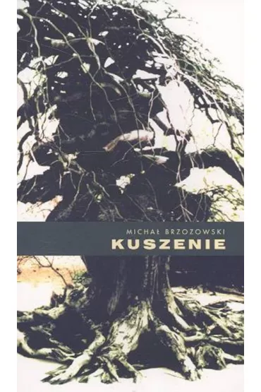 Kuszenie - Micha� Brzozowski