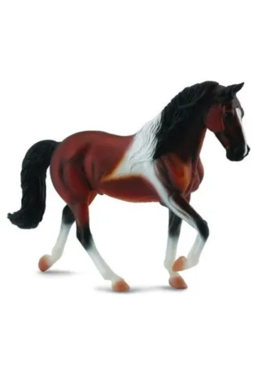 Klacz rasy Stallion Bay Pinto spaceruj�ca