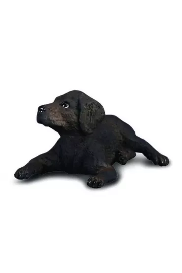 Pies labrador szcz�ni�