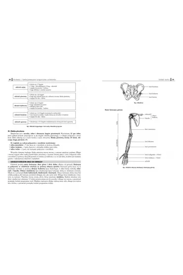 Repetytorium gimnazjalisty. Biologia. 2019 - Anna Mucha