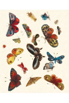 Museums & Galleries Karnet z kopert Butterfly design decorati