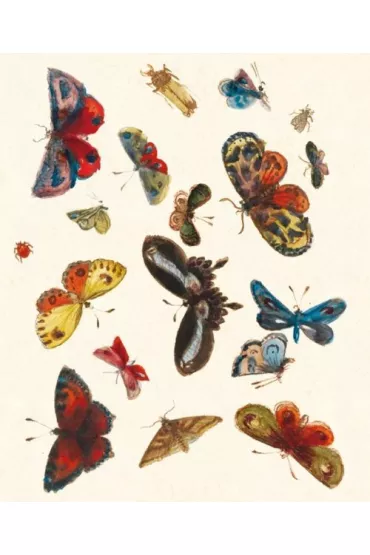 Museums & Galleries Karnet z kopert� Butterfly design decorati