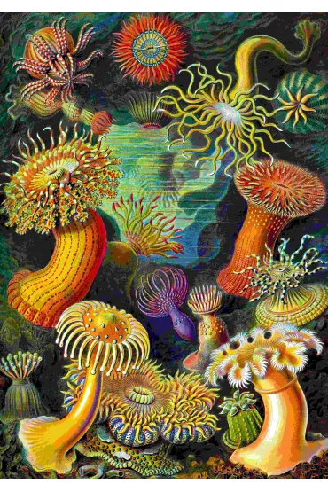 Puzzle 1000 el. Ernst Haeckel: Stworzenia morskie Good Loot