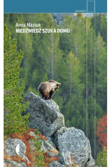 Nied�wied� szuka domu - Anna  Maziuk