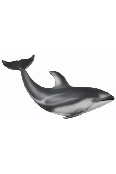 Delfin Pacyfic