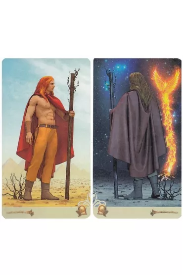 Vice Versa Tarot, karty dwustronne
