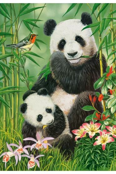Puzzle 1000 el. Panda Brunch Castorland