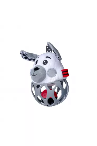 Pika-grzechotka Pies Dumel