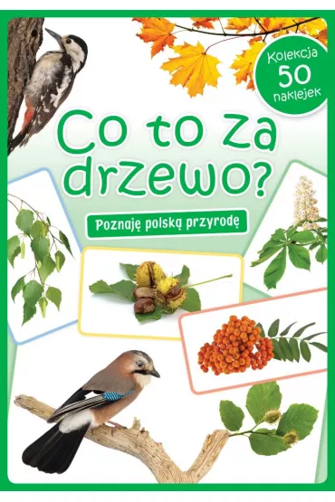 Kolekcja 50 naklejek. Co to za drzewo?
