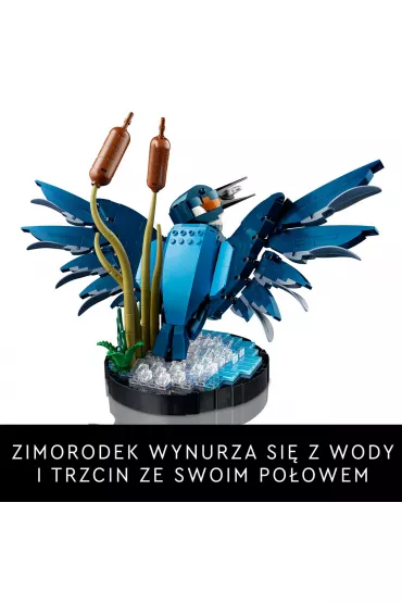 LEGO Icons Zimorodek 10331