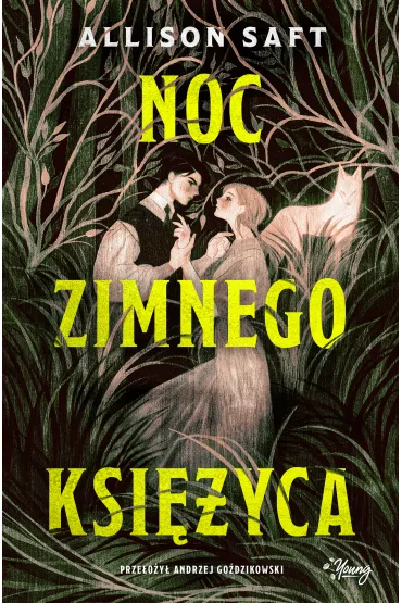 eBook Noc Zimnego Ksiyca mobi epub - Allison  Saft