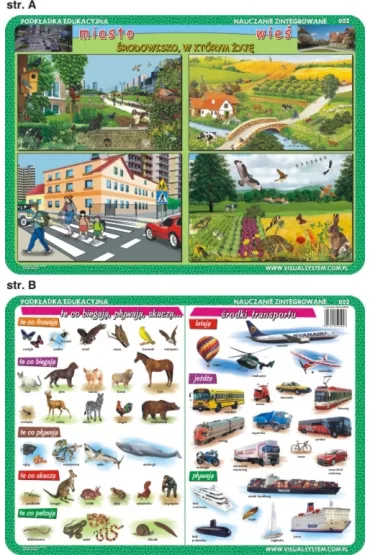 Visual System Podk�adka edukacyjna. Miasto i wie�, �rodki transportu