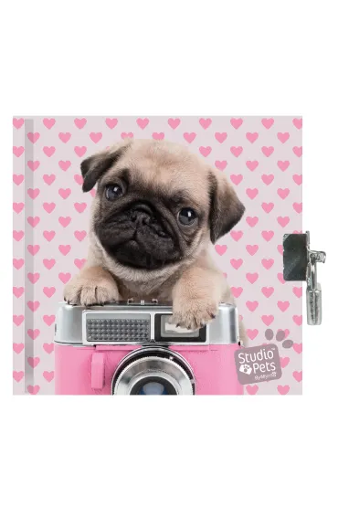 Paso Pami�tnik z k��dk� Studio Pets