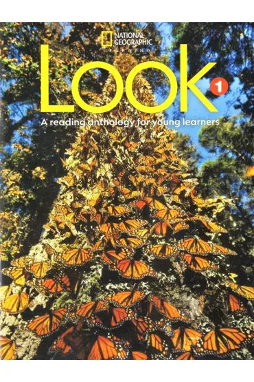 LOOK Pre-A1 Level 1 BrE Teacher`s Book with Student`s Book Audio CD and DVD - Katherine Bilsborough, Steve Bilsborough