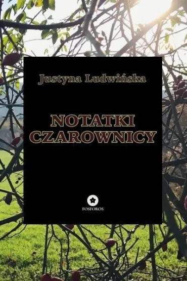 Notatki czarownicy - Justyna  Ludwi�ska