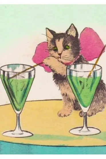 Madame Treacle Karnet B6 z kopert� Kot i drinki