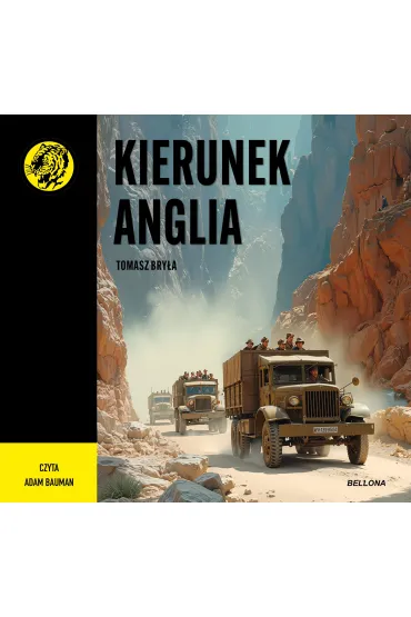 Audiobook Kierunek Anglia mp3 - Tomasz  Bry�a