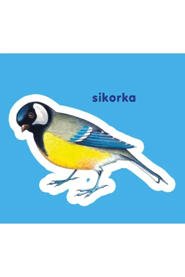 Ptaki