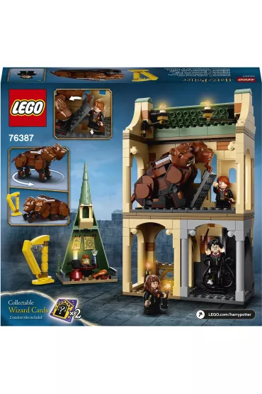 LEGO Harry Potter Hogwart: spotkanie z Puszkiem 76387