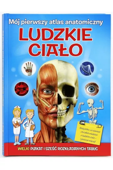 M�j pierwszy atlas anatomiczny - ludzie cia�o