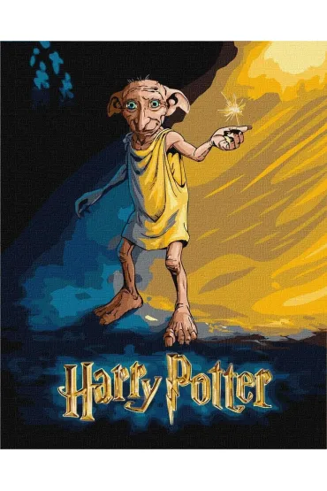 Ideyka Malowanie po numerach - Harry Potter plakat 40x50