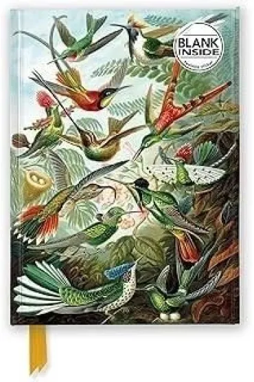 Flame Tree Notatnik A5 g�adki TW Kolibry Ernst Haeckel