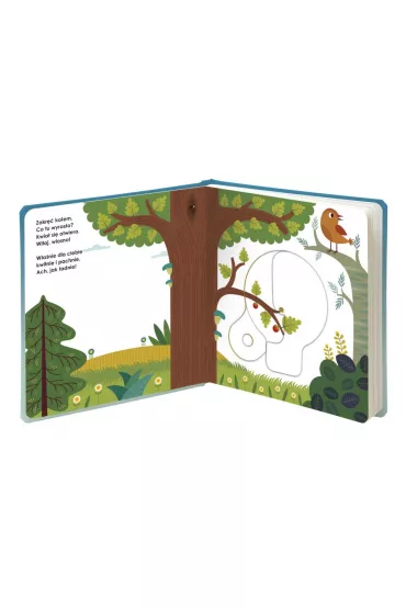 Niespodzianka! Magiczne ko�o. Kapitan Nauka - Agnese Baruzzi, Gabriele Clima