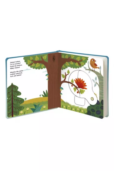 Niespodzianka! Magiczne ko�o. Kapitan Nauka - Agnese Baruzzi, Gabriele Clima