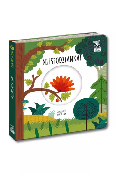 Niespodzianka! Magiczne ko�o. Kapitan Nauka - Agnese Baruzzi, Gabriele Clima