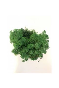 Pentacolor Ozdoba dekoracyjna mech chrobotek 507-900 125 g zielony
