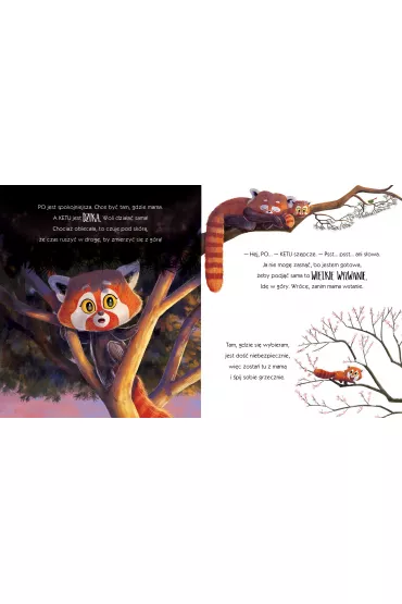 Pandki, ktre obiecay - Rachel Bright, Jim  Field