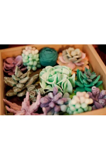 Sensory Art Okto Zestaw Wood&Craft Sukulenty - Czu�o�� 21 x 21 cm