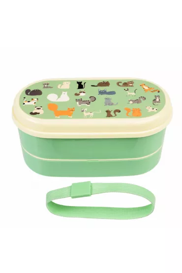Rex London Lunchbox Bento Koty