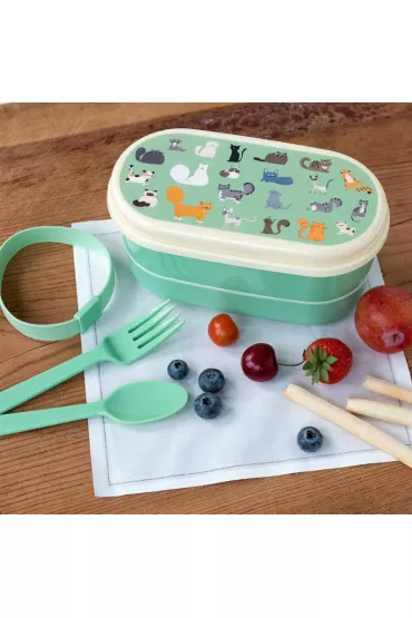 Rex London Lunchbox Bento Koty