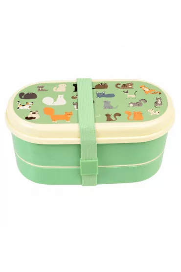 Rex London Lunchbox Bento Koty
