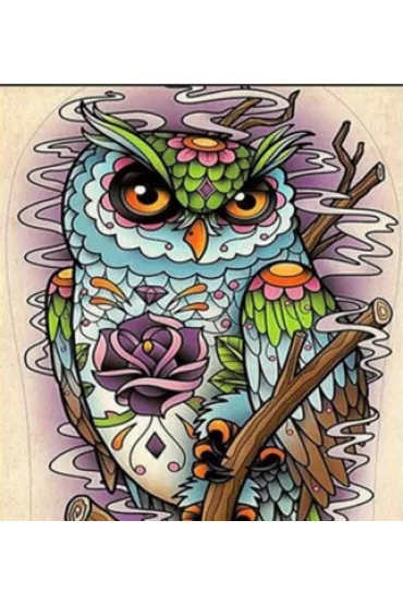 Norimpex Diamentowa mozaika - Sowa z rysunkami kwiat�w abstrakcja 30x40cm