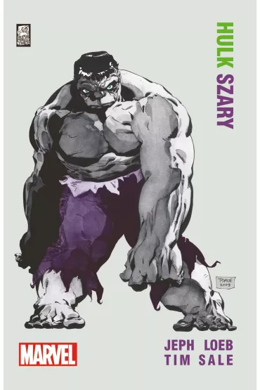 Hulk. Szary - Tim Sale, Jeph Loeb