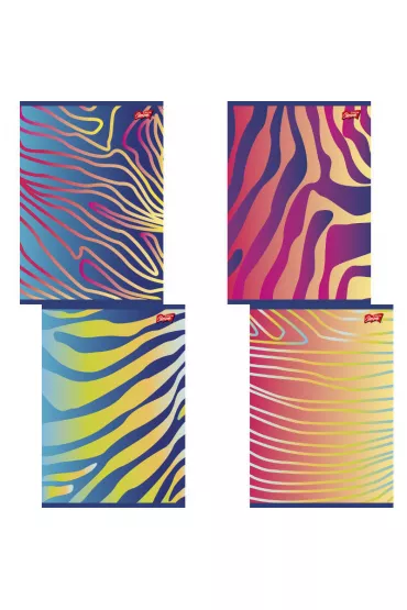 St. Majewski Zeszyt A5 Rainbow linia 60 kartek